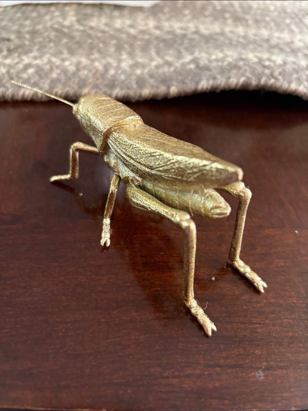 Grasshopper - Picture 4 of 4